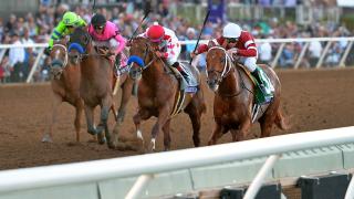 horse racing dirt