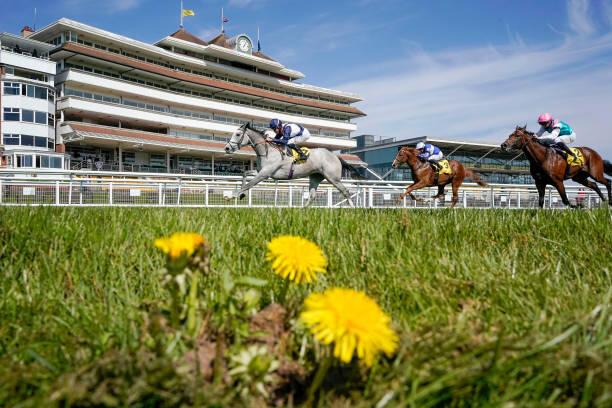 https://betting.betfair.com/horse-racing/da7877d5845533f196aff84506aa82b21c4b6ba8.jpg