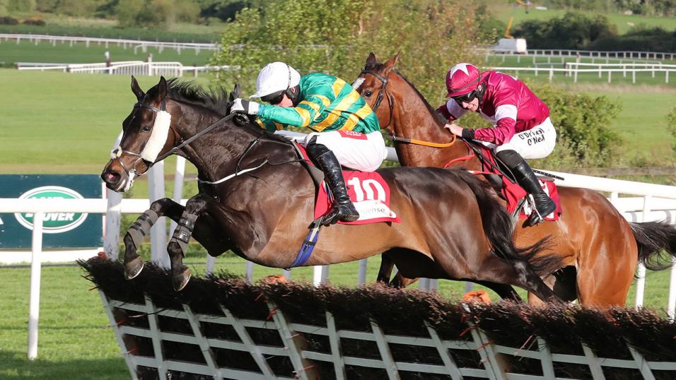 Horses jumping hurdle