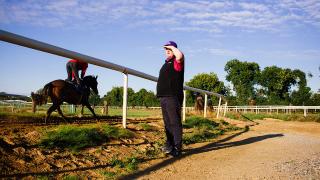 Gordon Elliott Stable