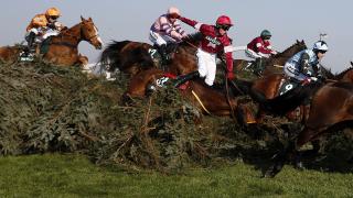 The National fences at Aintree