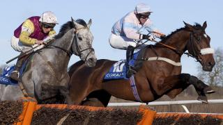 Horses jump hurdle