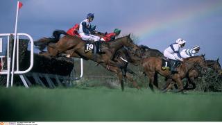 Fairyhouse Fence Action