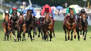 Race Finish Final Furlong