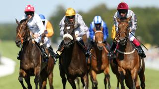 Today's best bet Sabre runs at Goodwood