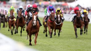Enable