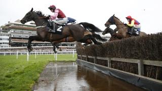 The Ladbrokes Trophy takes centre stage at Newbury on Saturday