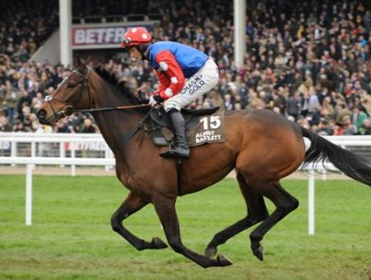Rocky Creek will miss next week's Gold Cup due to ringworm