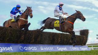 Waiting Patiently winning the Betfair Ascot Chase