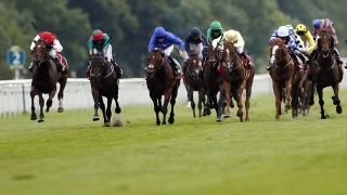 Hugo Palmer has just the one runner at Doncaster on Saturday