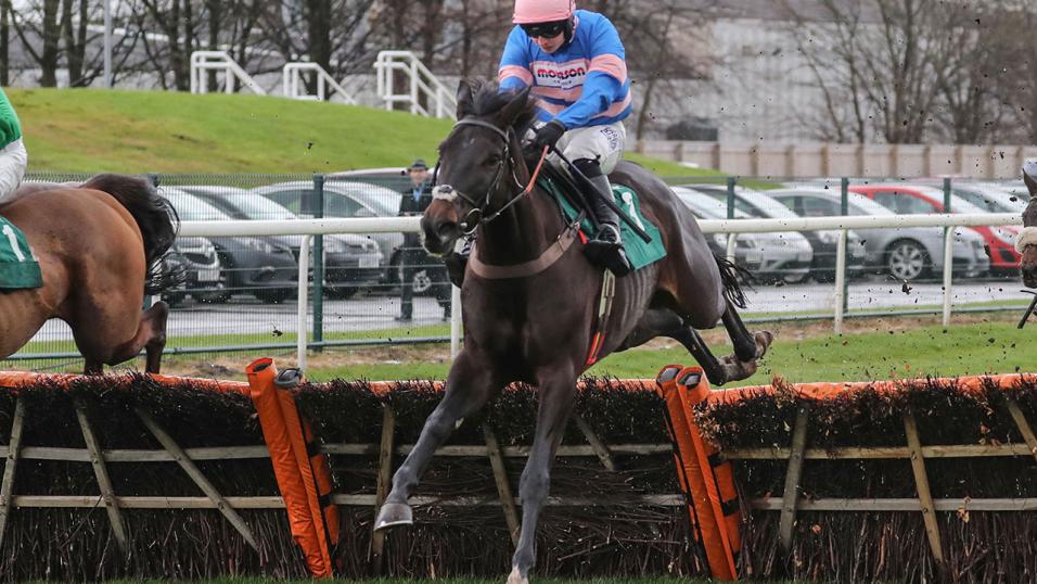 Horse jumping