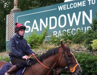 Integral runs at Sandown this afternoon