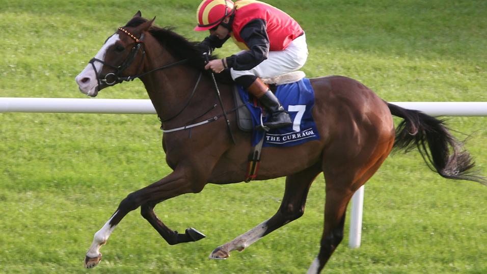 Ultra Pride horse racing