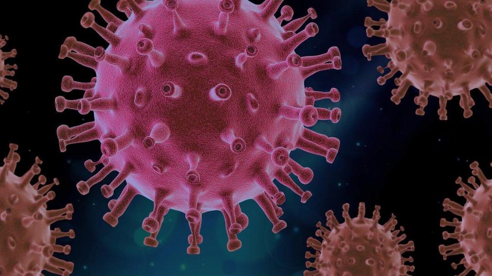 There are concerns over rising cases of the virus