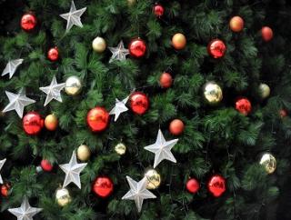 Who will win the World Cup of Christmas Films?