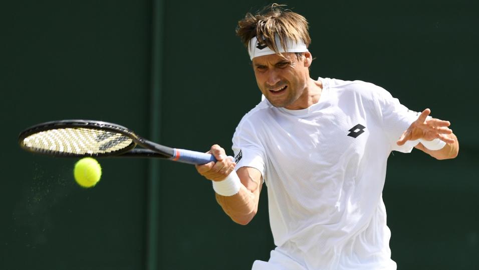 Spanish Tennis Player David Ferrer