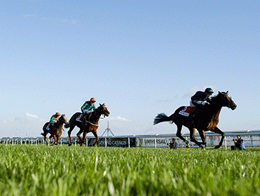 Horse racing ratings can improve your strike rate