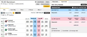 Betfair Market 2.jpg
