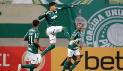 Palmeiras