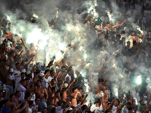 The Palmeiras fans haven't been short on entertainment in recent seasons
