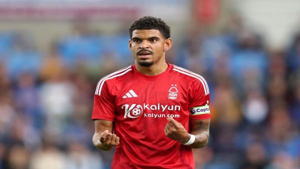gibbs white.jpg