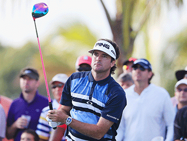 Bubba Watson - great value according to The Punter