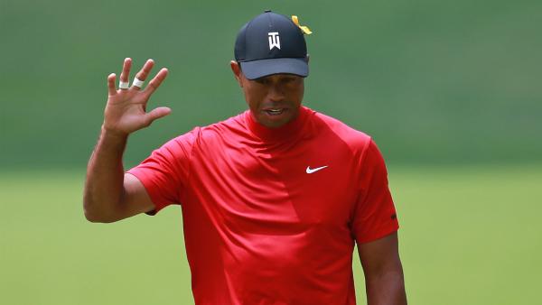 woods.jpg