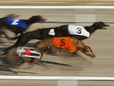 The Henlow Derby semi finals are live on RPGTV