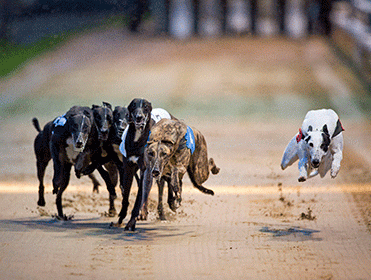 Get your bets on for tonight's live Sky card at Nottingham