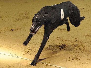 Henlow has three finals for RPGTV Viewers to enjoy on Sunday night