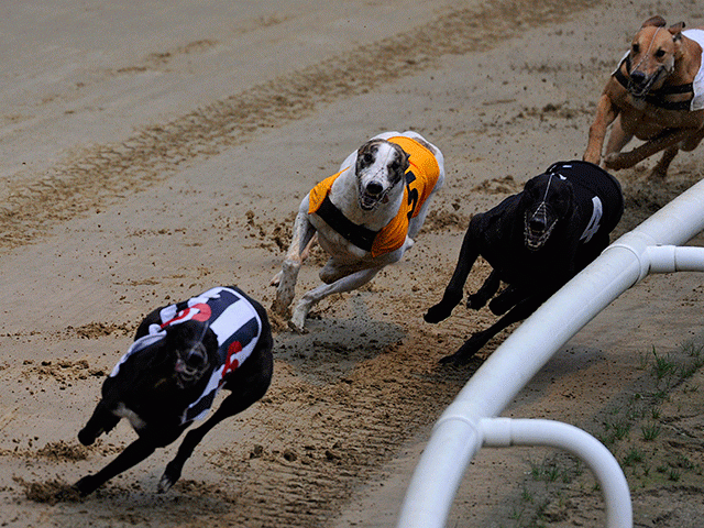The Lord has picked out seven tips from the racing at Henlow tonight