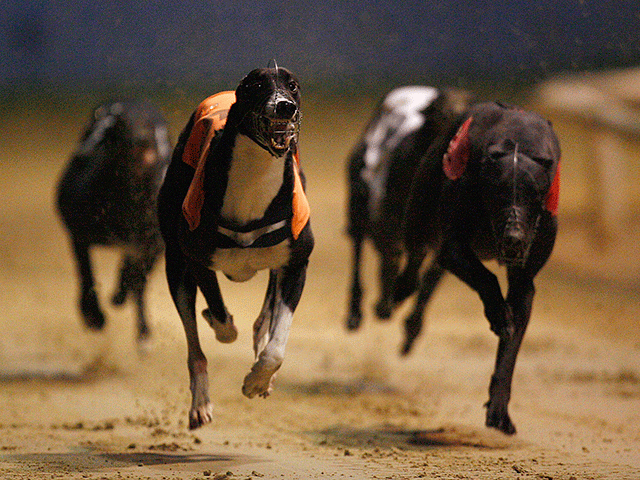 There's action at Henlow tonight