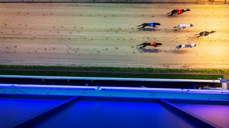 https://betting.betfair.com/greyhound-racing/Romford-1280-lights.jpg