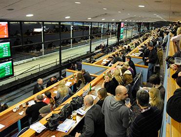 It's semi-final night of the Greyhound Derby at Wimbledon