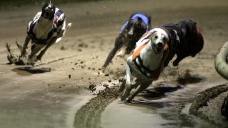 https://betting.betfair.com/greyhound-racing/images/RomfordBendAction1280.JPG