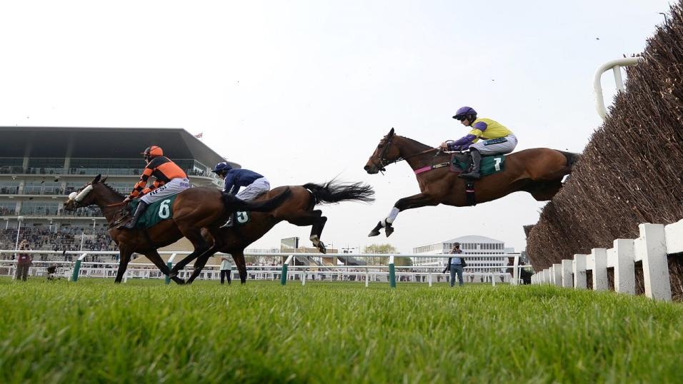 Horse Racing Tips Rhys Williams has a quartet of doublefigure fancies