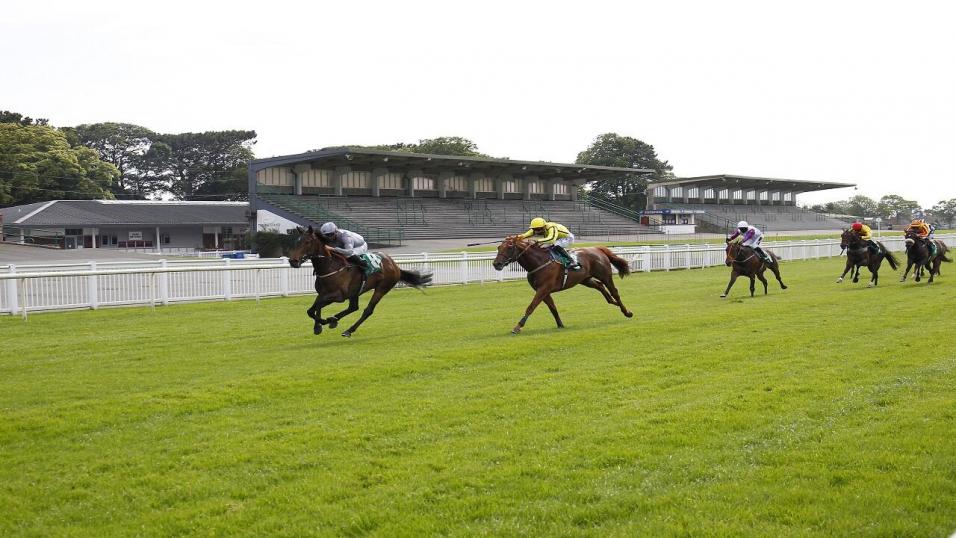 Rhys Williams Friday Racing Tips Alex Has The Chance To Make All