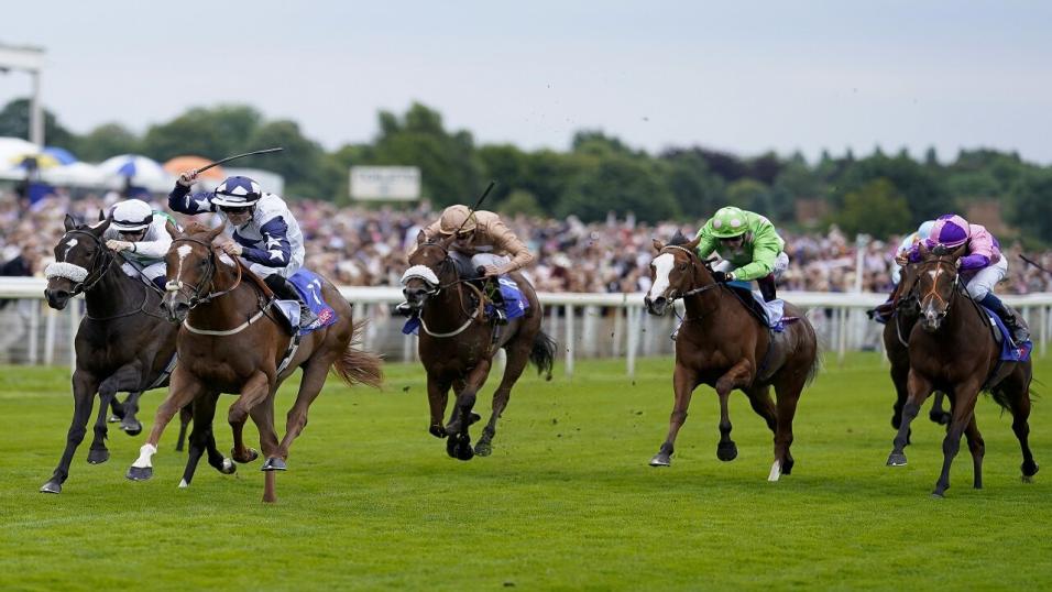 Wednesday York Ebor Festival Tips wednesday-york-ebor-festival-tips