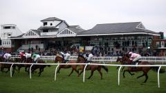 Catterick horse racing