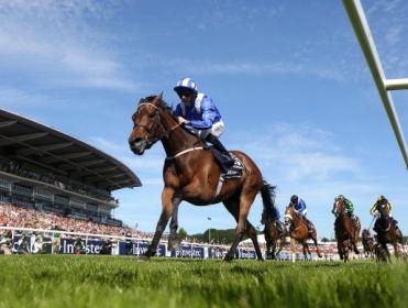 Can Taghrooda win in Ireland this weekend?