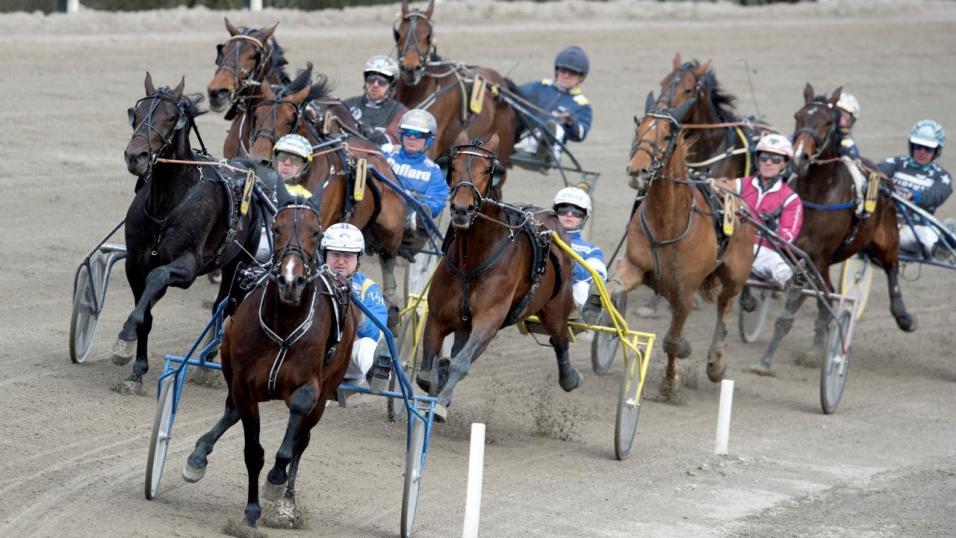 Horses and drivers take the bend in a Swedish trotting race