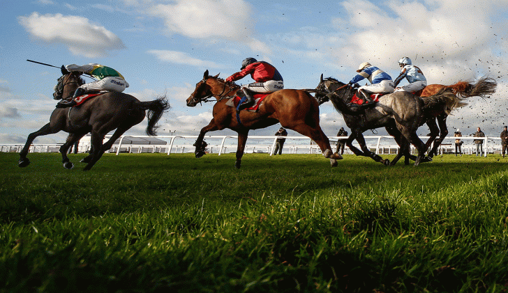 Horses after fence