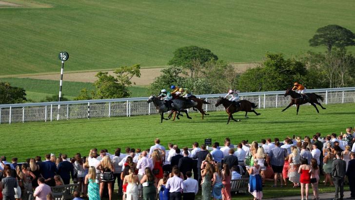 Qatar Glorious Goodwood runners and crowd.