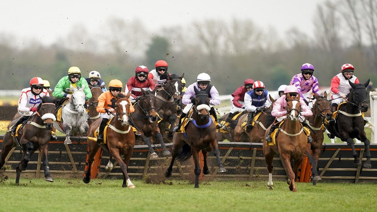 Horse Racing Tips: Rhys Williams likes a novice hurdler w/o the favourite at Newbury - Vimarsana News