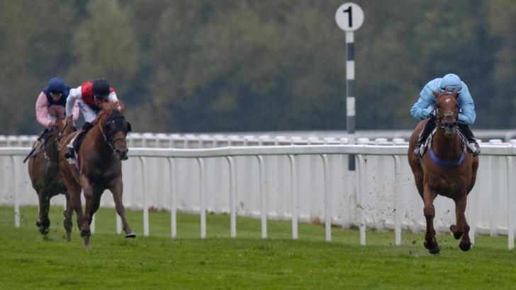 Windsor Racecourse