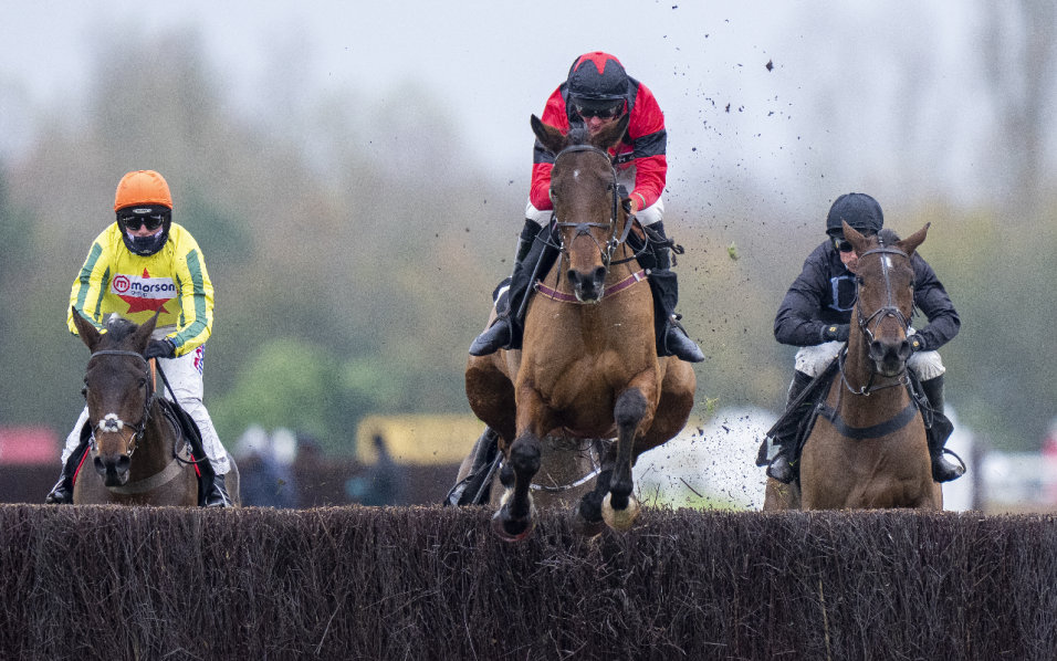 Charlie Hall Chase: Timeform's runner-by-runner guide