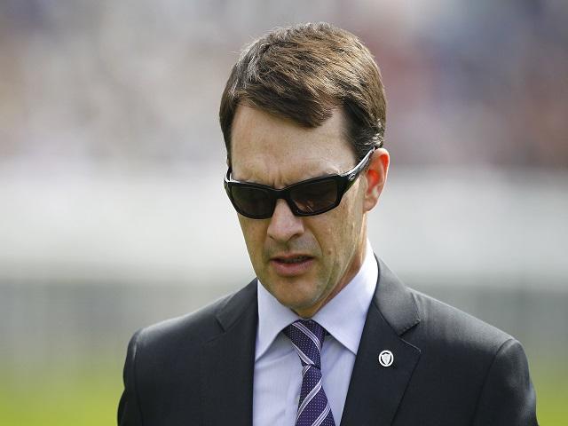 Tony expects more improvement from Aidan O'Brien's Shogun in the Derby on Saturday