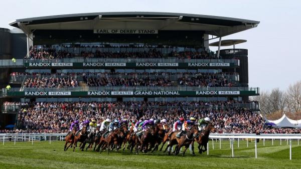 Aintree field and stand.jpg