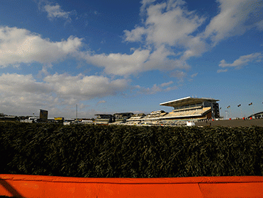 Timeform In-Play Hints focus on Aintree