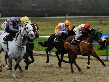 http://betting.betfair.com/horse-racing/All-Weather-action-371.gif